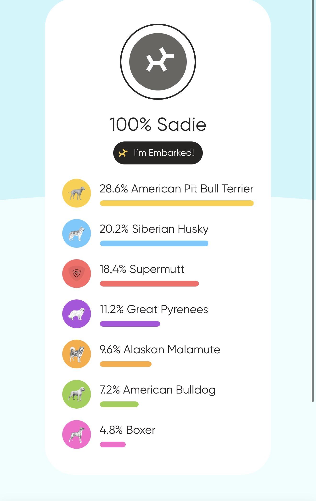 Enlarge Sadie, an adopted mixed breed in Palm Bay, FL image 6/6