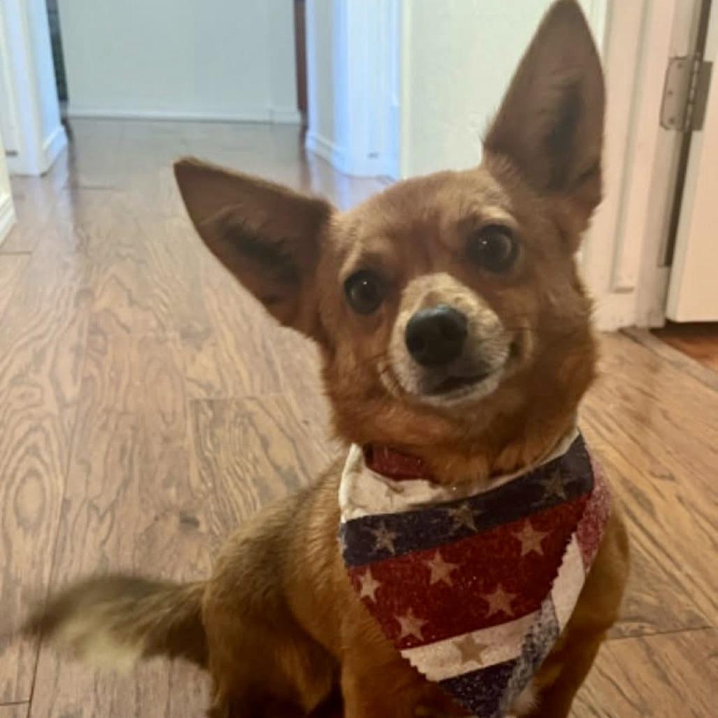 General Jackson thumbnail 2