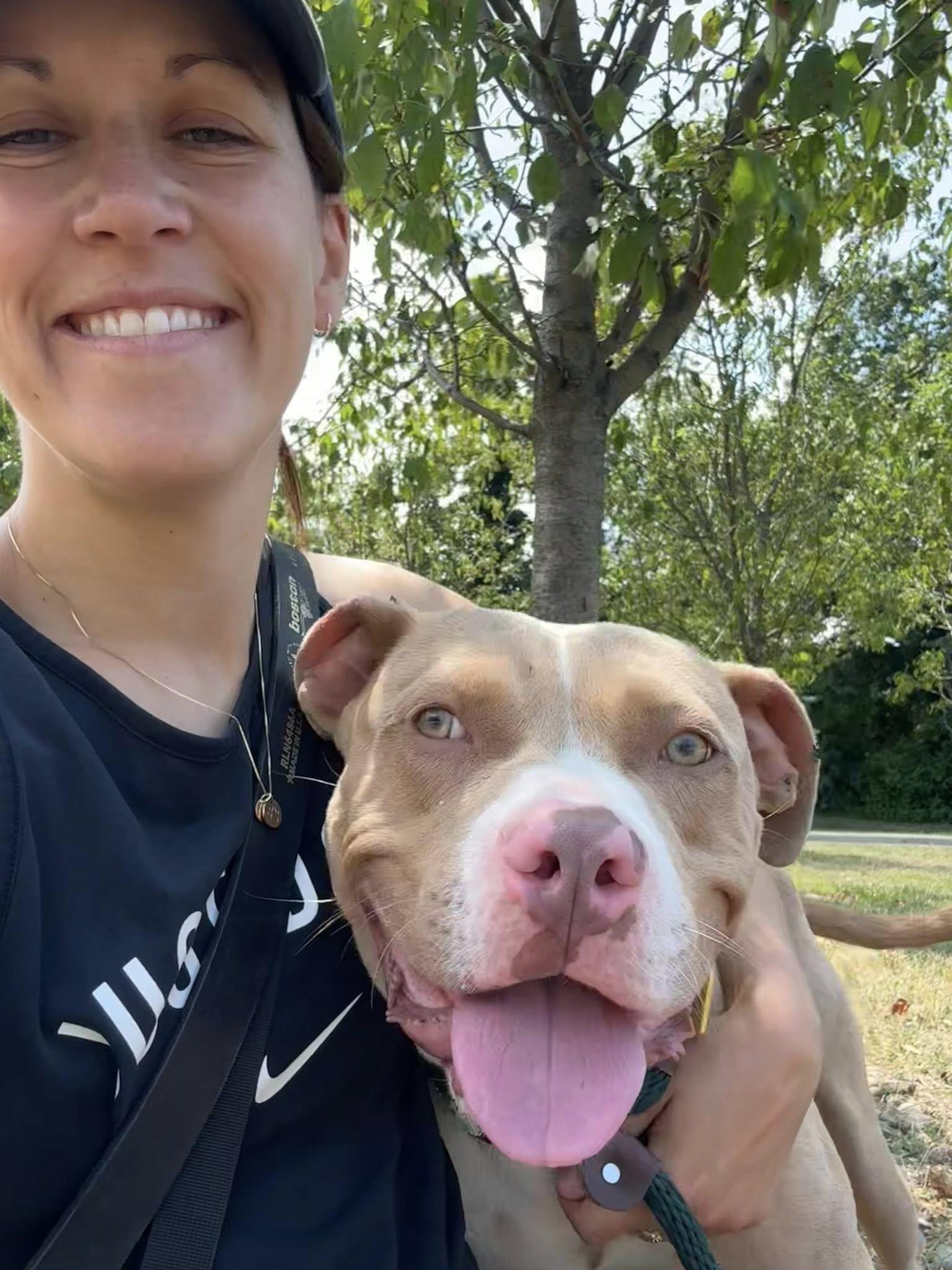 August, a Adoptable mixed breed in Cleveland, OH image 4/6