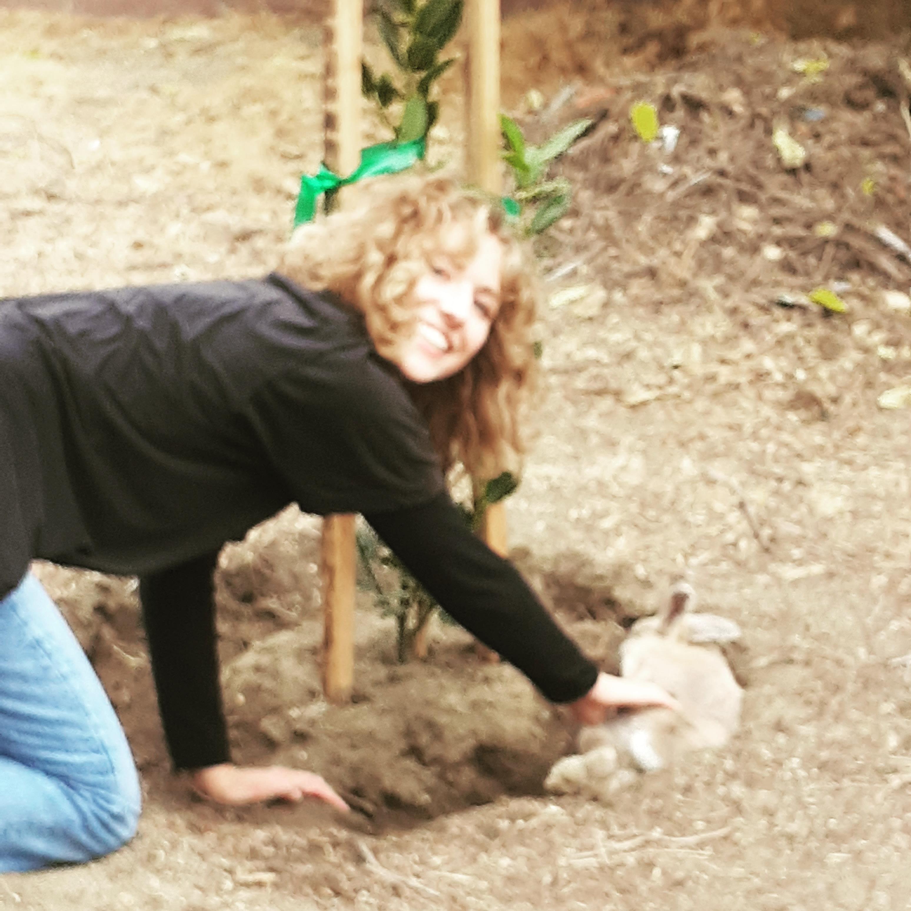 Enlarge Peaches & Hazel, a ADOPTABLE American in Gig Harbor, WA image 1/5