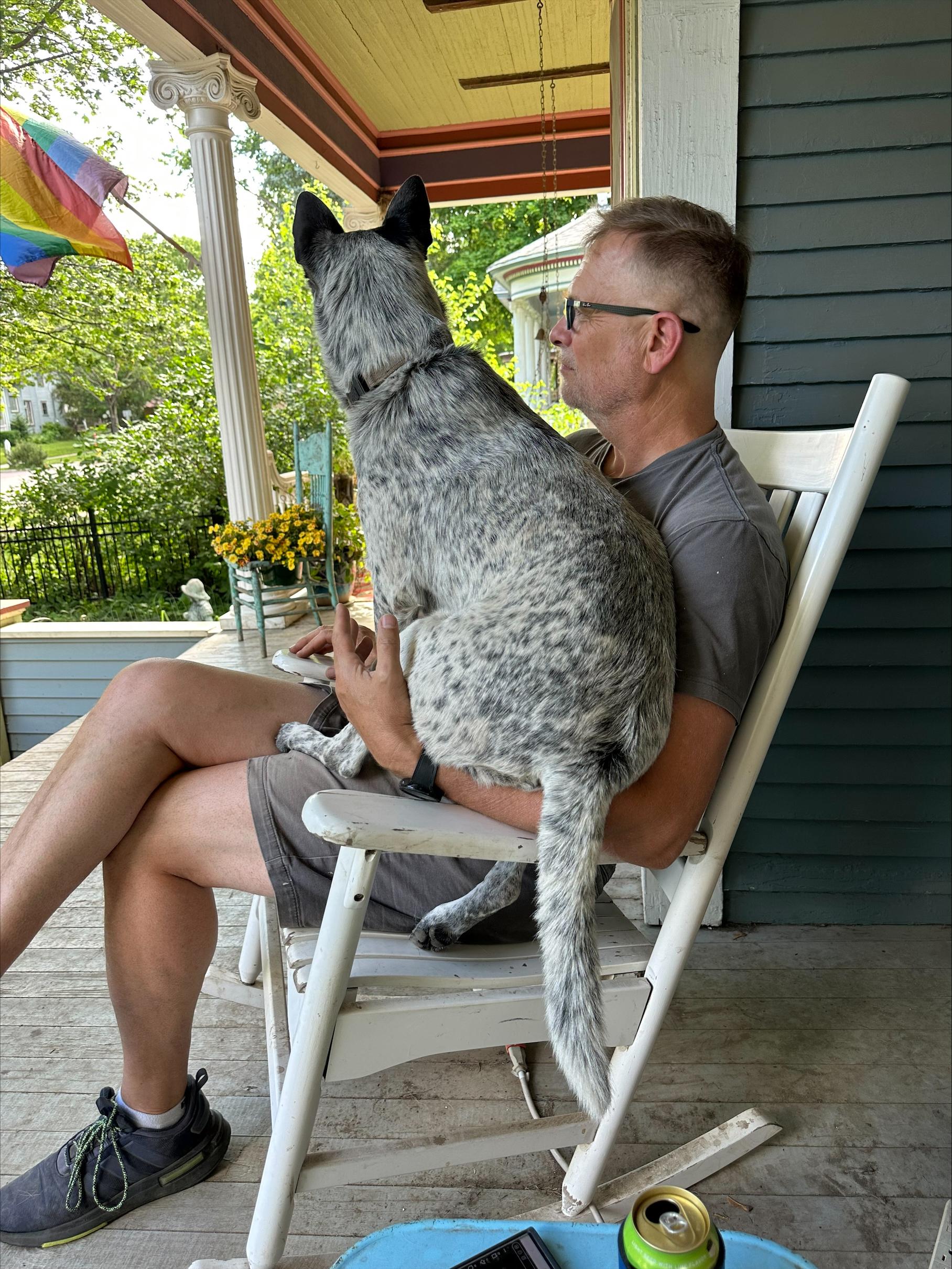 Enlarge Skye, a Adoptable Mixed Breed in Sioux Falls, SD image 6/6