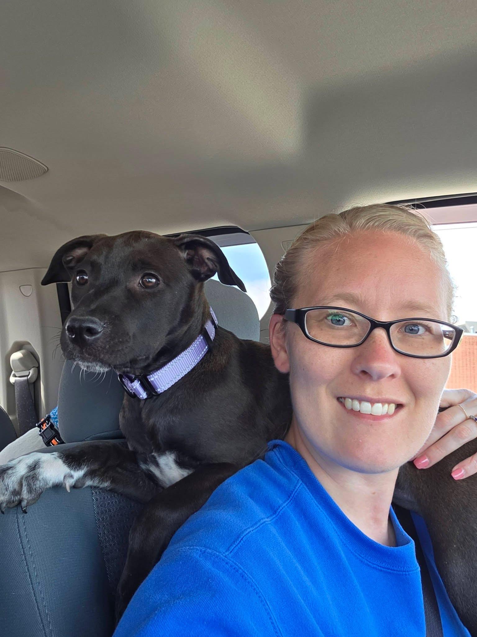 Enlarge Piper the Bully mix puppy, a Adoptable mixed breed in Muskego, WI image 6/6