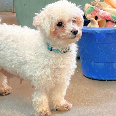 Nellie — thumbnail 3