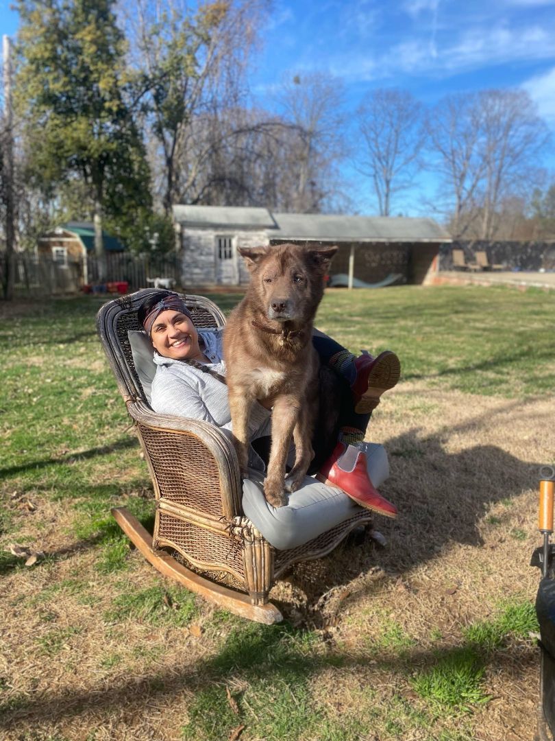 Willow, a Adoptable mixed breed in Mount Airy, NC image 1/4