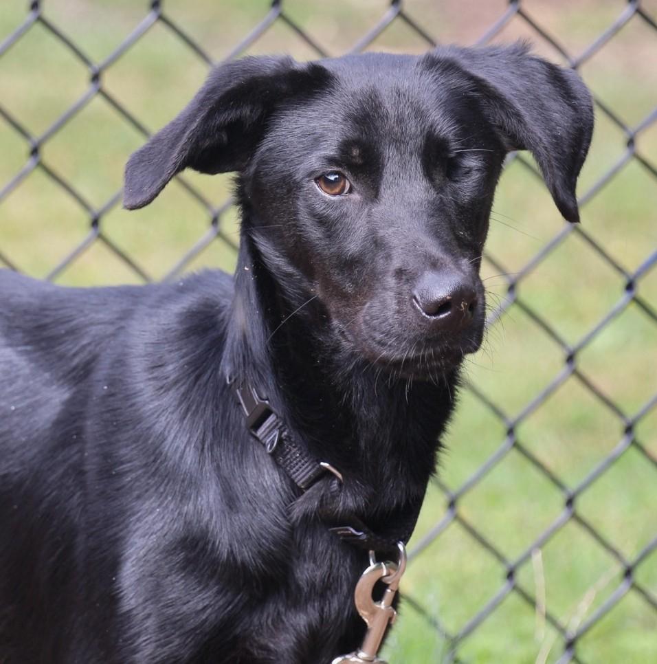 Lil Bit ** I'm eligible for foster to adopt!