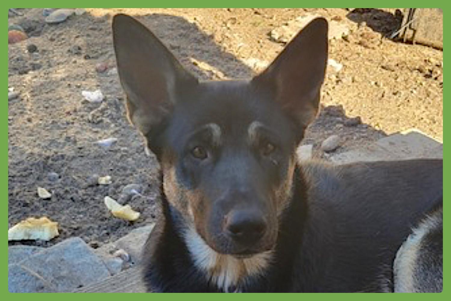 Bronagh — thumbnail 2