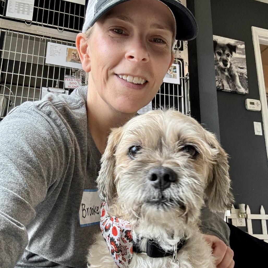 Raisin Bran (Grandpa/Boy), a Adoptable Lhasa Apso in Sonoma, CA image 5/6