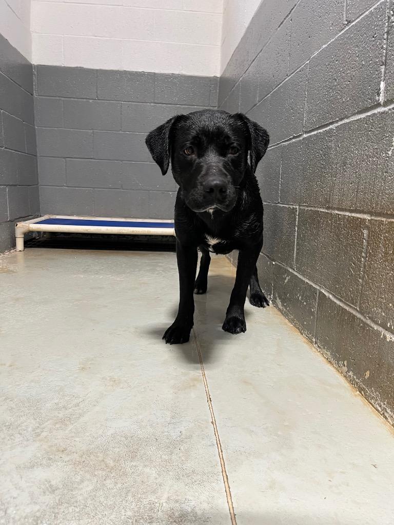 Midnight thumbnail 3