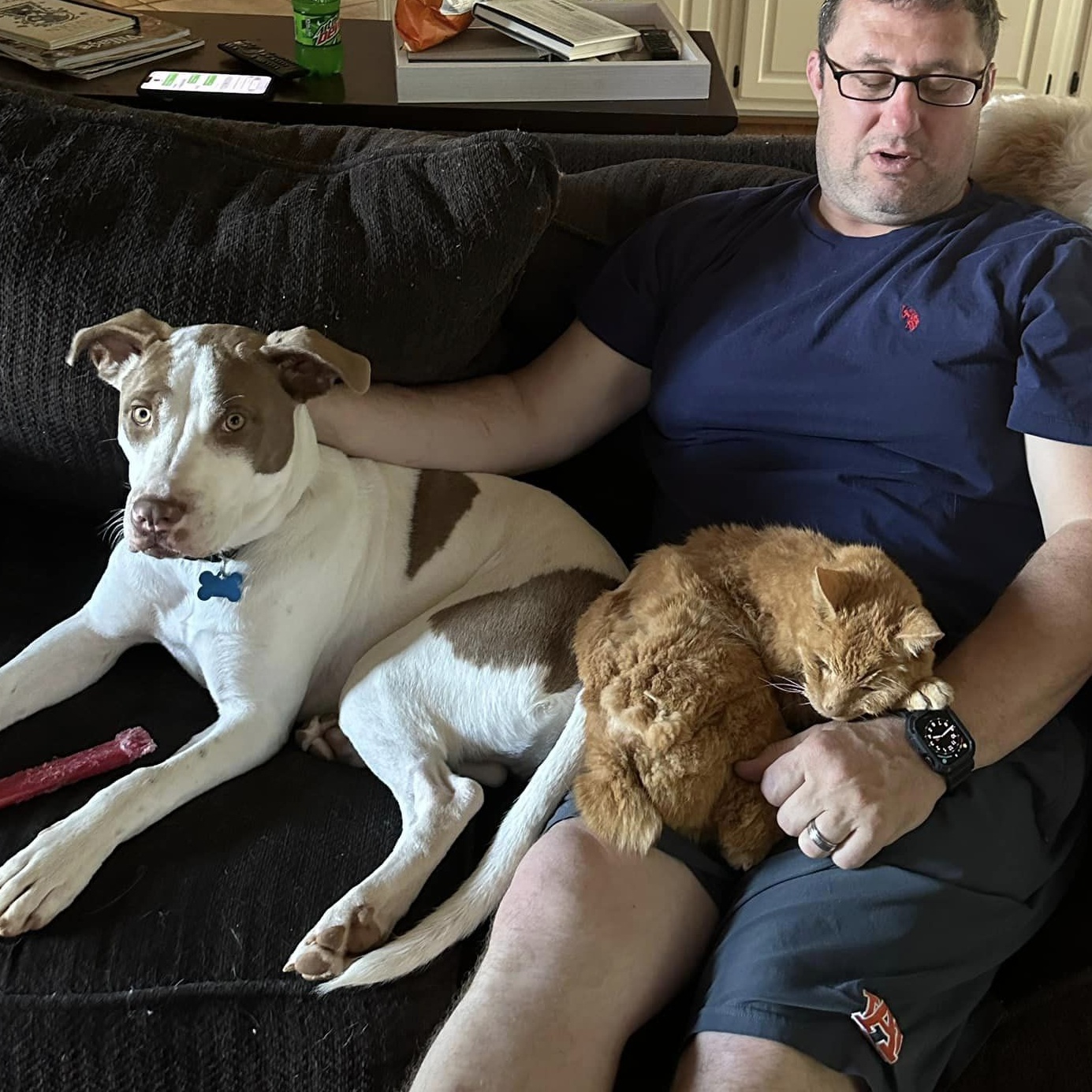 Warrior, a Adoptable mixed breed in Helena, AL image 5/6