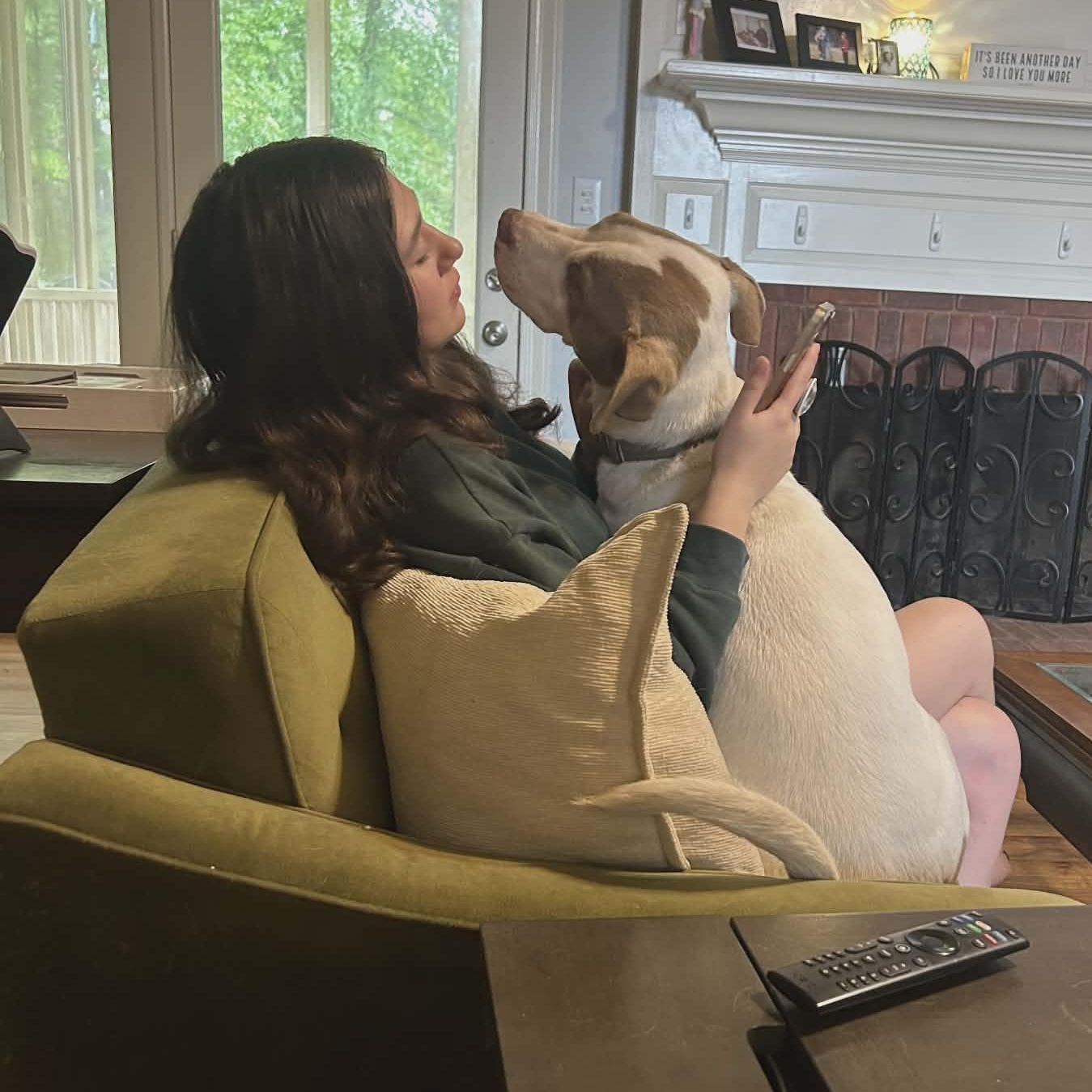 Enlarge Warrior, a Adoptable mixed breed in Helena, AL image 2/6