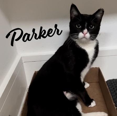Parker #chirps-when-contented
