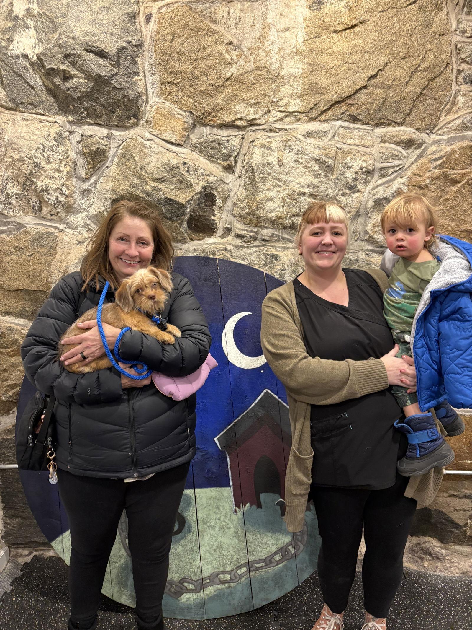 Nathalie's Capri TX, Adopted, Puppy Female Terrier.