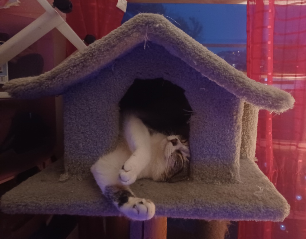 Ramen — thumbnail 3