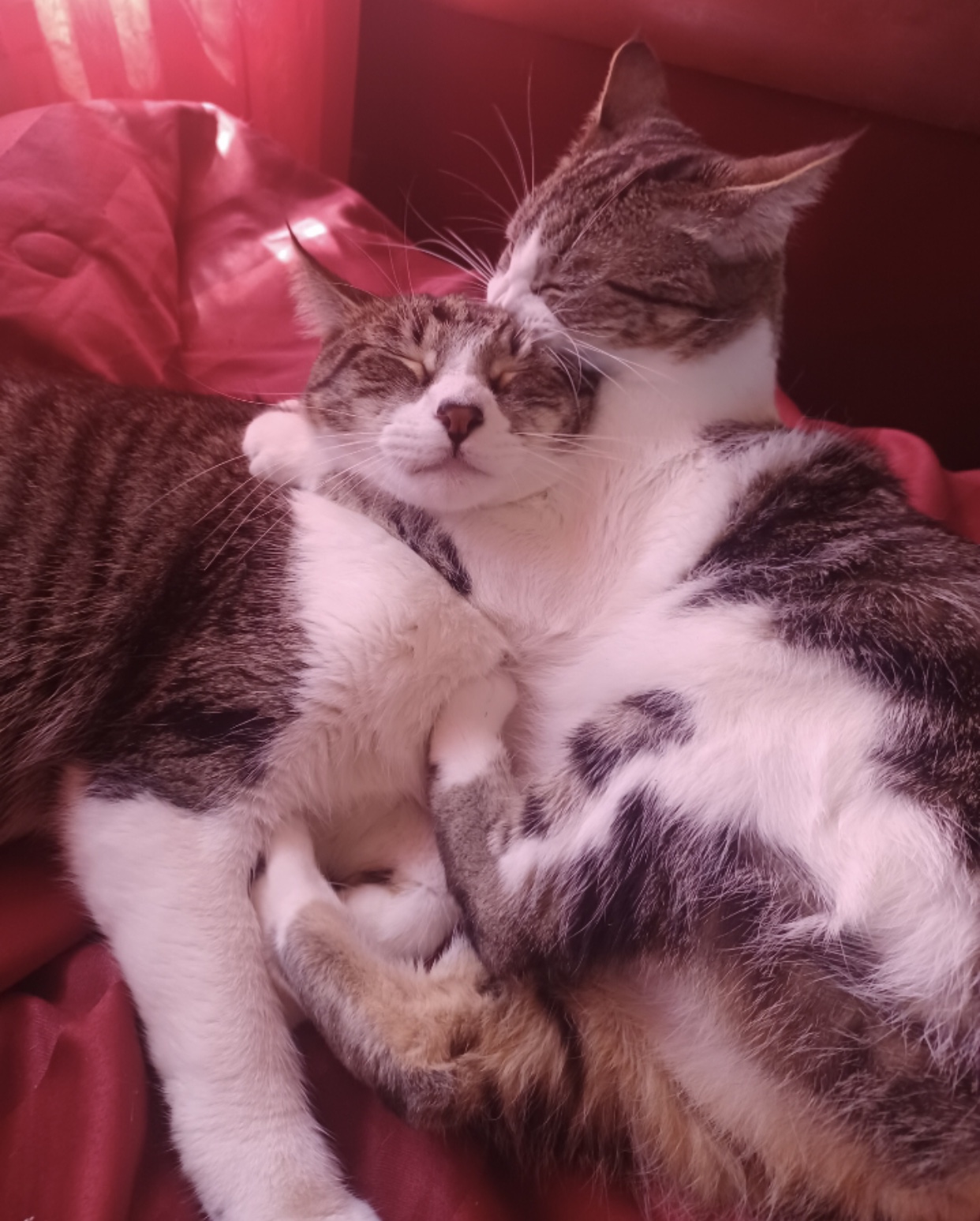 Ramen — thumbnail 6