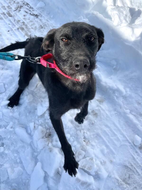 Elizabeth thumbnail 5