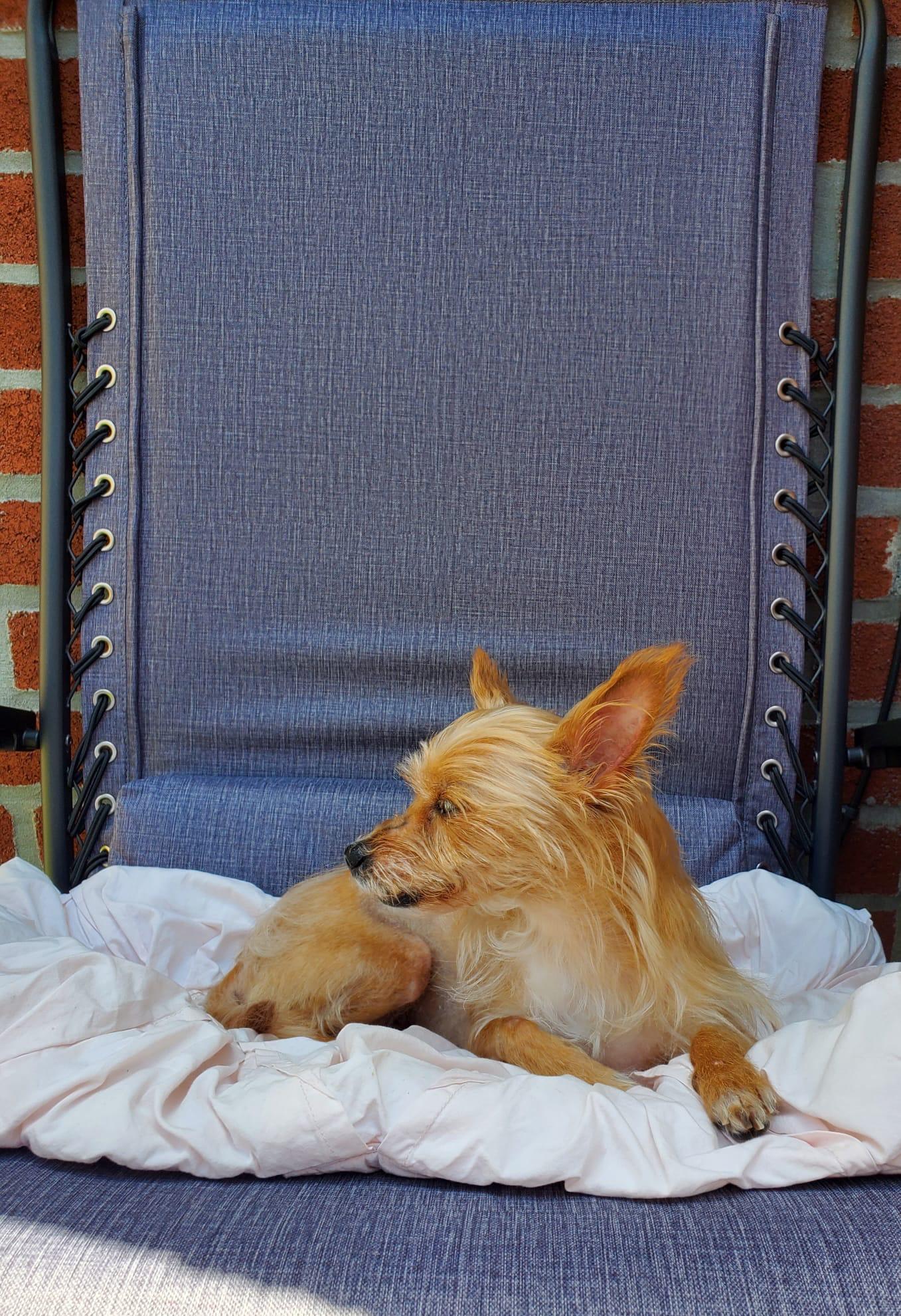 Lilly photo 4