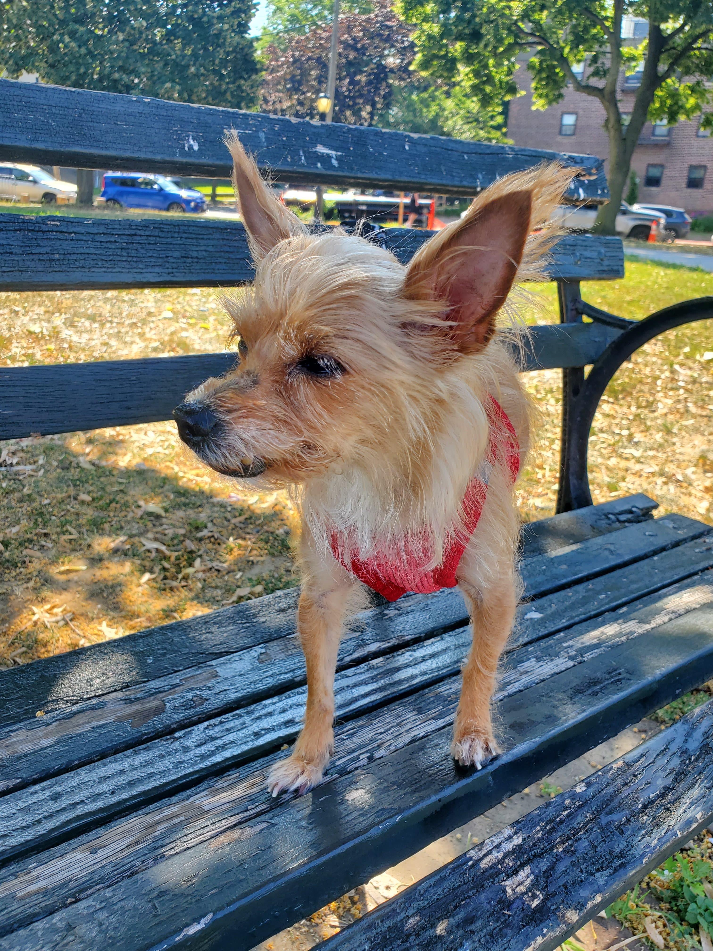Lilly photo 2