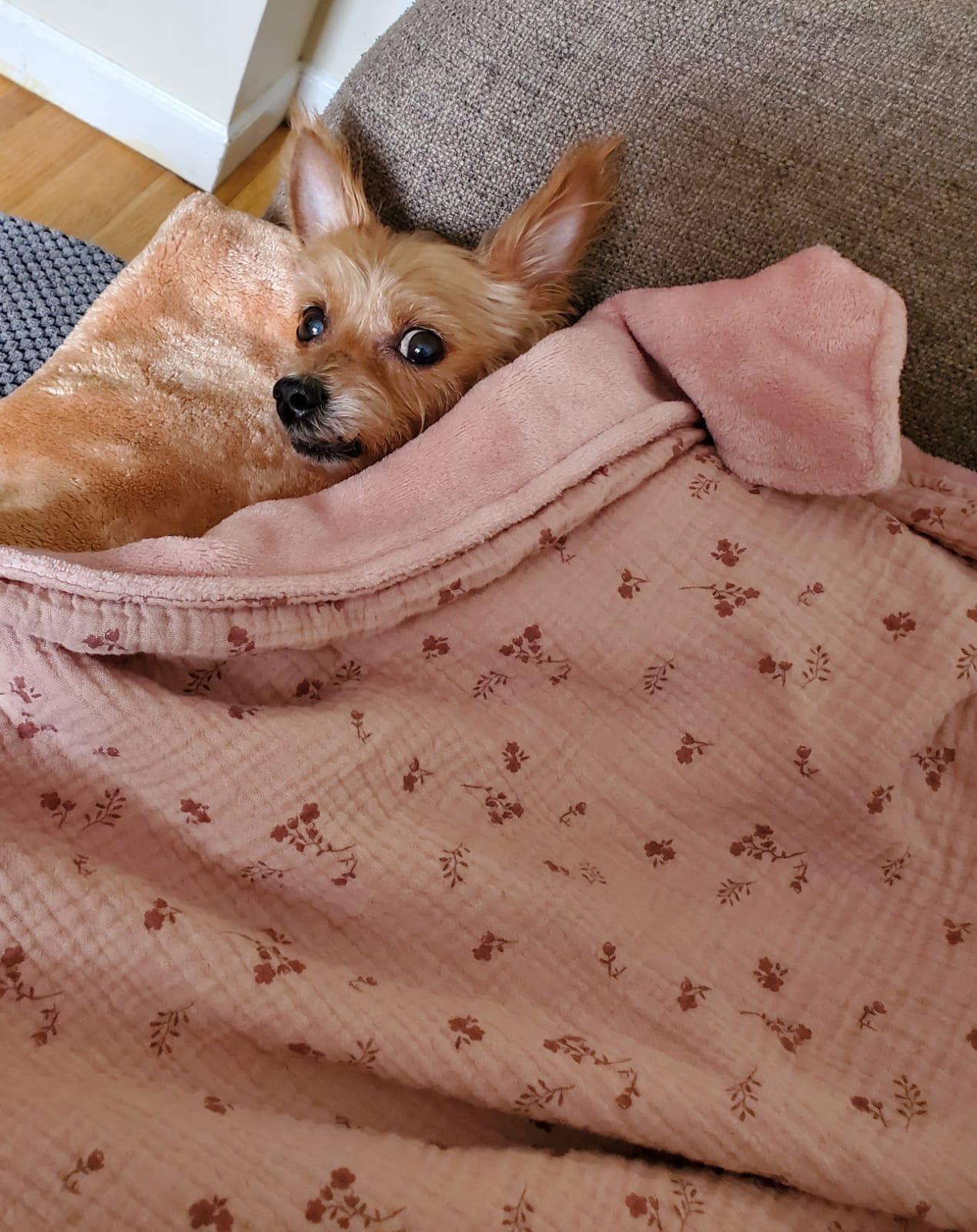 Lilly