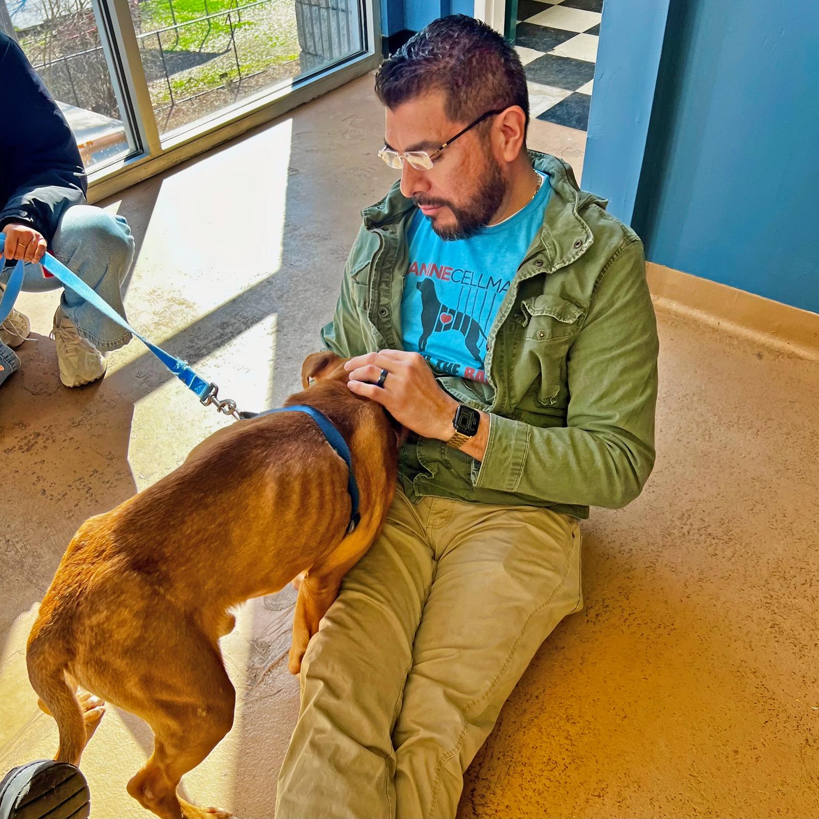 Enlarge Yogi, a Adoptable Pit Bull Terrier in Atlanta, GA image 2/3