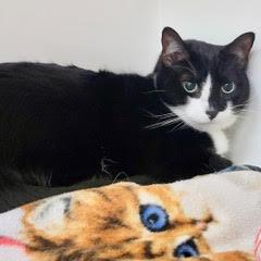 Lily--AKA Milgard — thumbnail 2