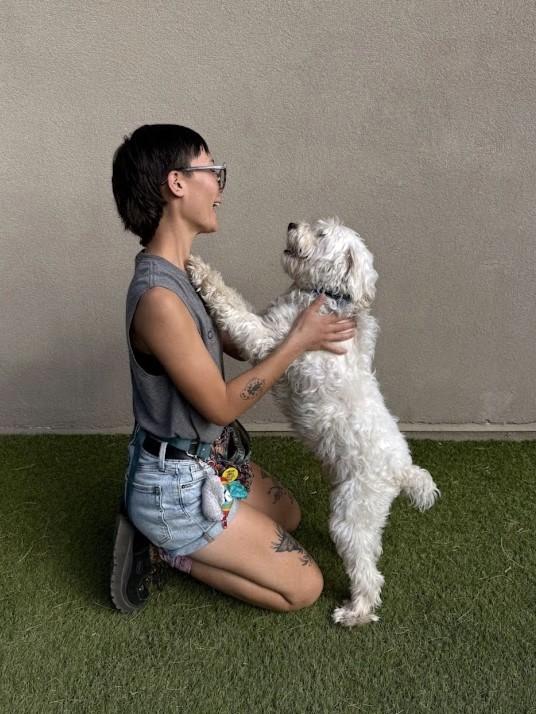 Enlarge Maui, an adoptable mixed breed in Scottsdale, AZ image 3/5