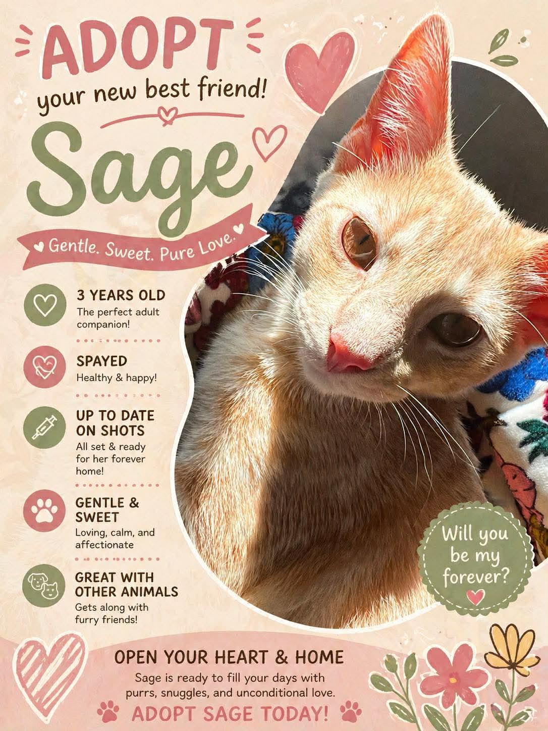 Enlarge Sage, a ADOPTABLE Domestic Short Hair in Atoka, TN image 3/3