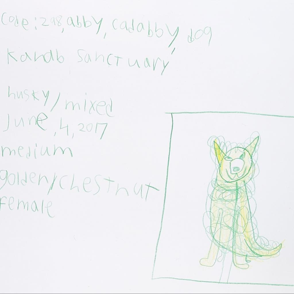 Abby Cadabby, a Adoptable mixed breed in Long Beach, CA image 2/6