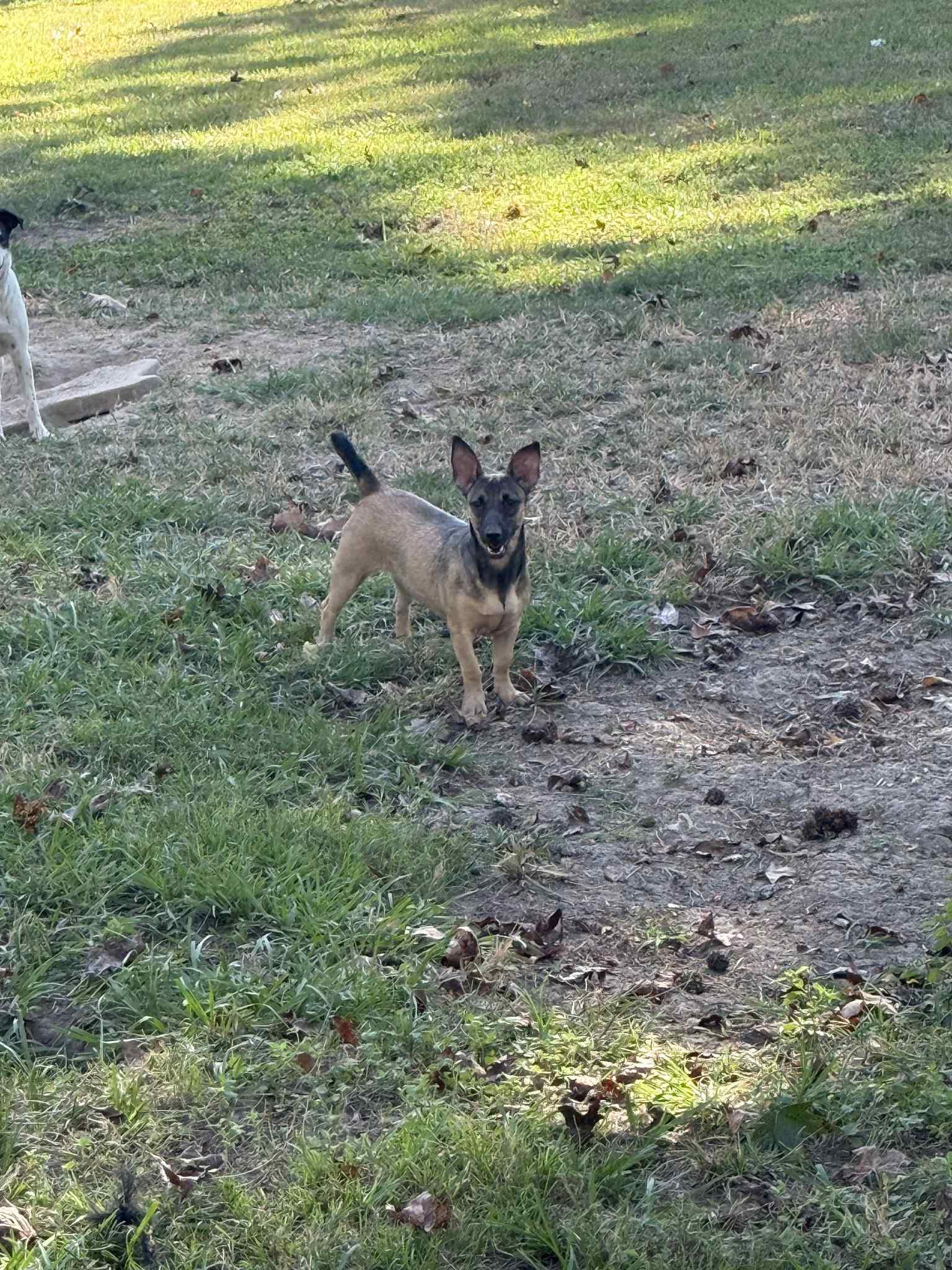 Lulu