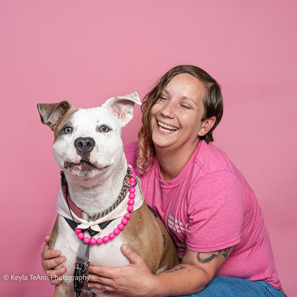 Duffy Lane, a Adoptable Mixed Breed in Savannah, GA image 2/6