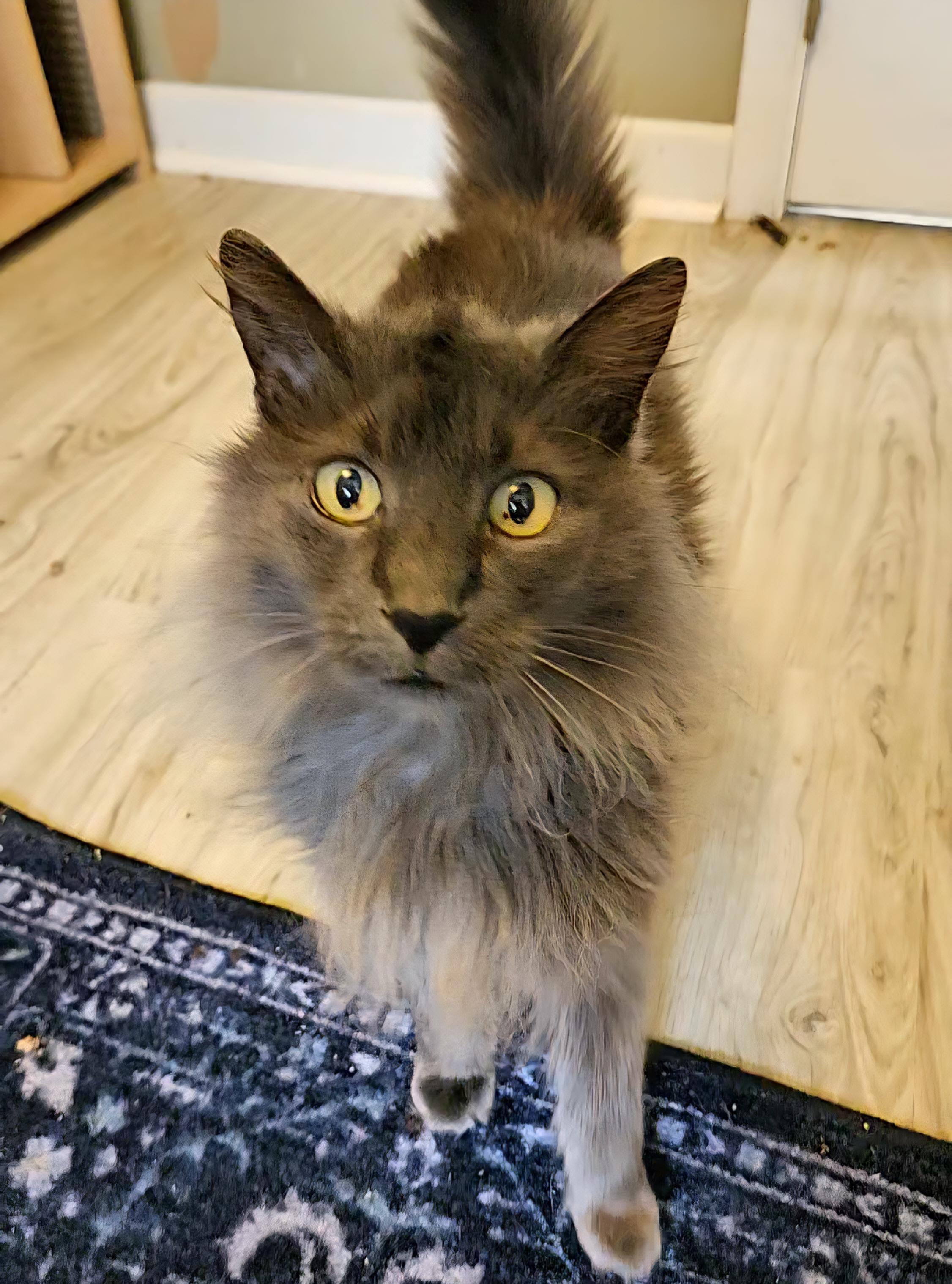 Kramer