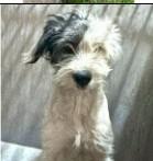 Madeline thumbnail 2