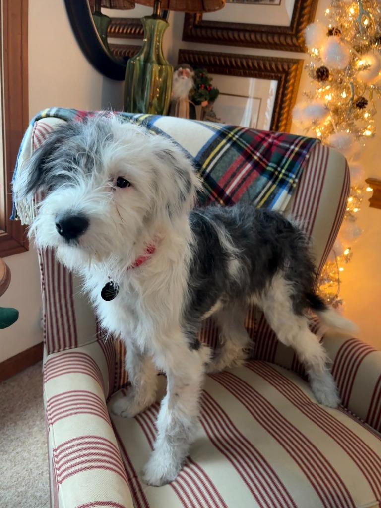 Madeline thumbnail 3