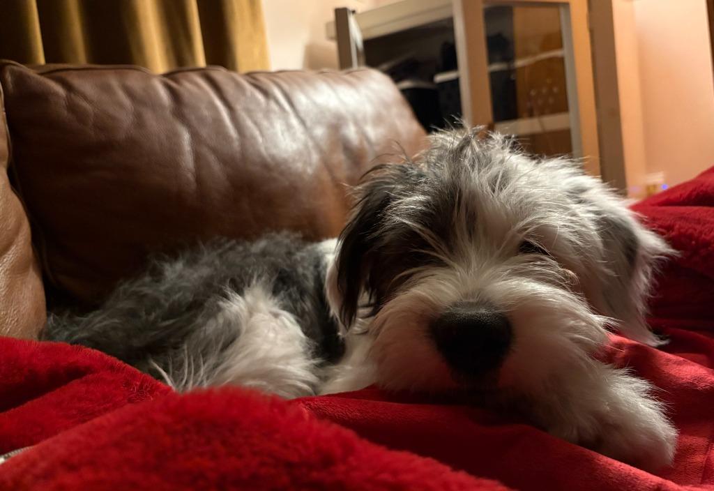 Madeline thumbnail 4