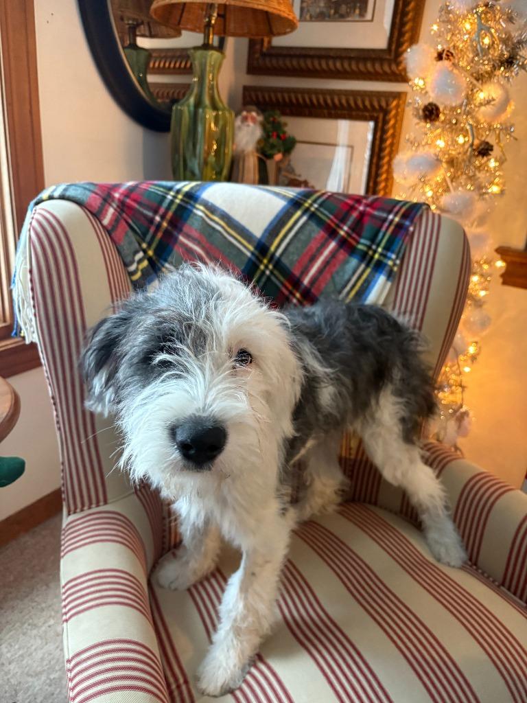 Madeline thumbnail 5