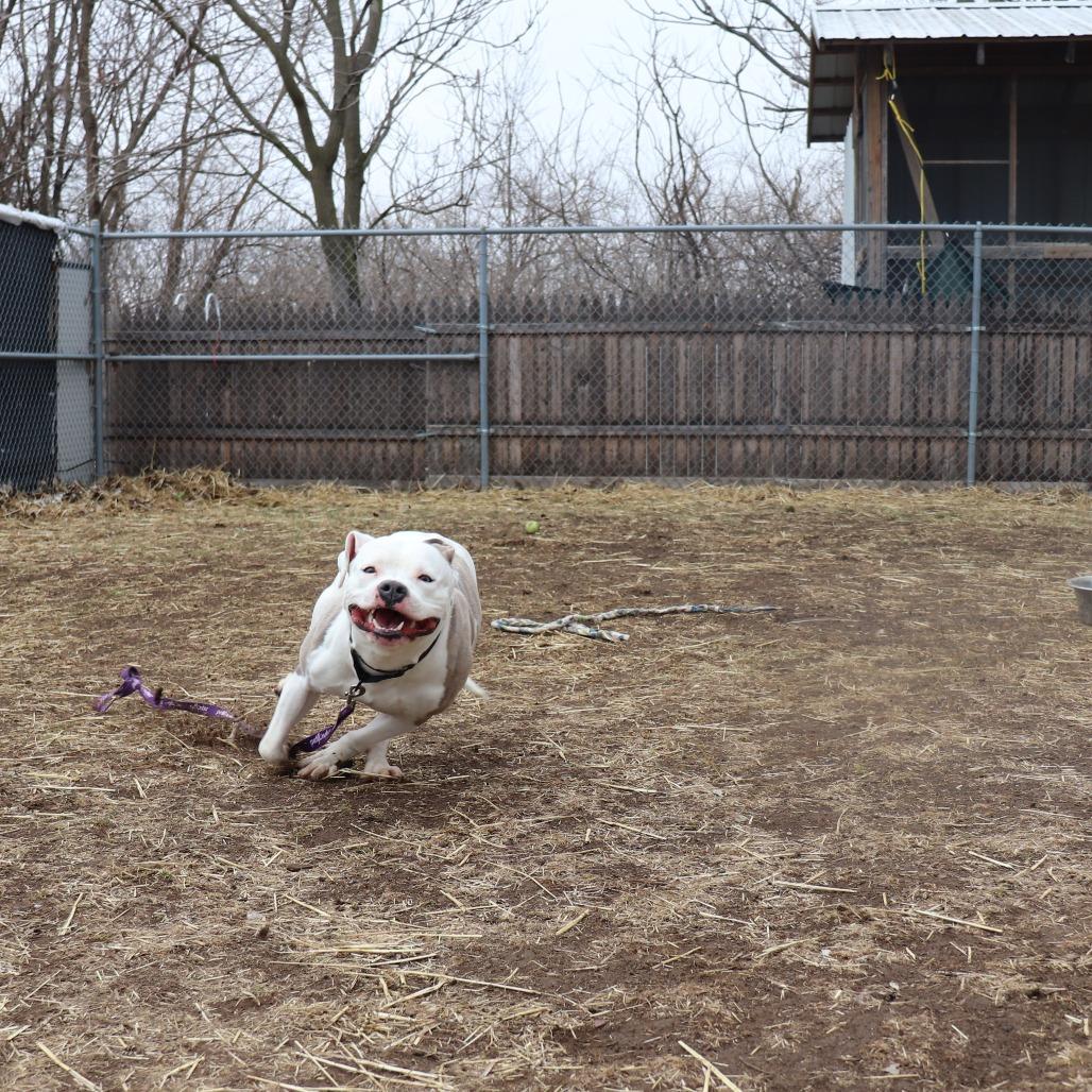 Latto — thumbnail 2