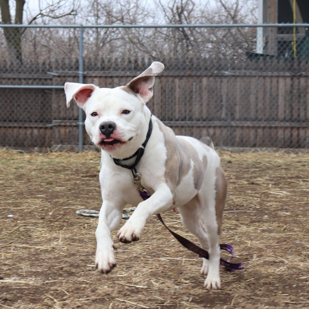 Latto — thumbnail 3