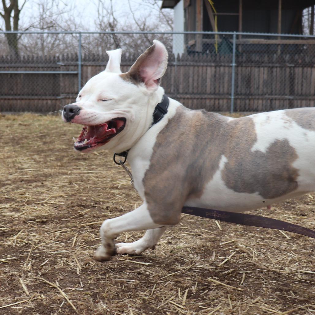 Latto — thumbnail 4