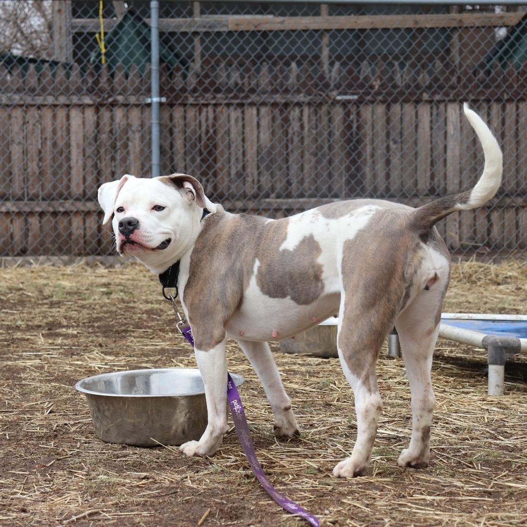 Latto — thumbnail 5