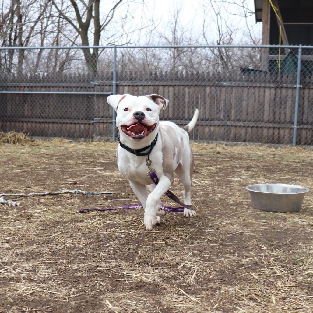 Latto — thumbnail 6