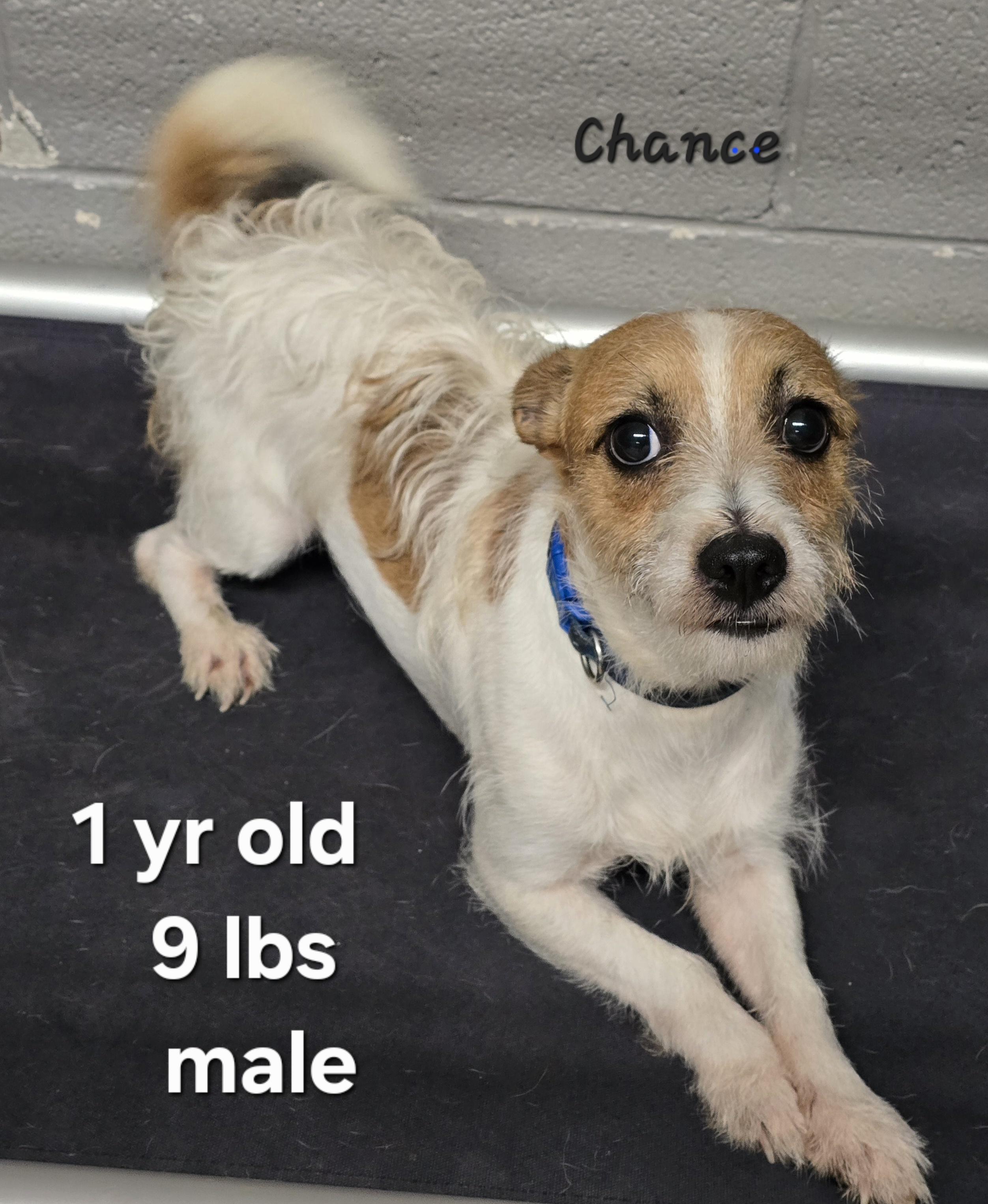 Chance