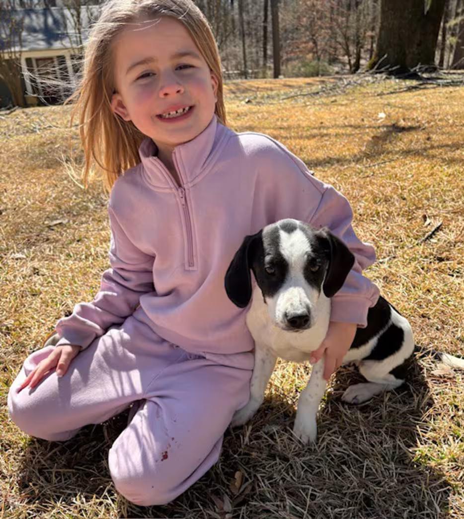 Enlarge Softball, an adopted mixed breed in Watertown, CT image 2/3