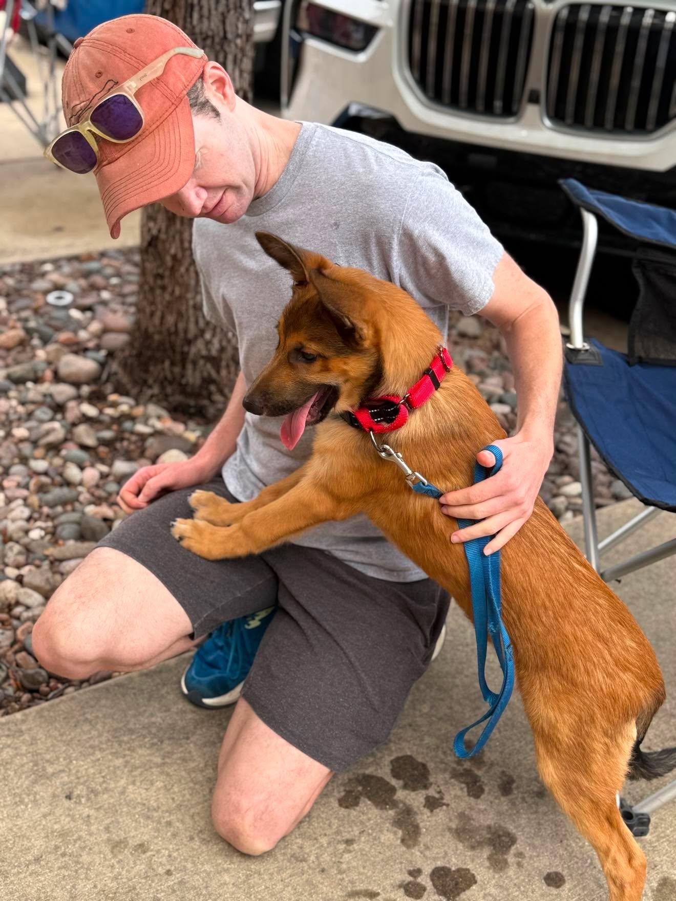 Enlarge Elite 8 puppies, a ADOPTABLE mixed breed in Lockhart, TX image 4/6