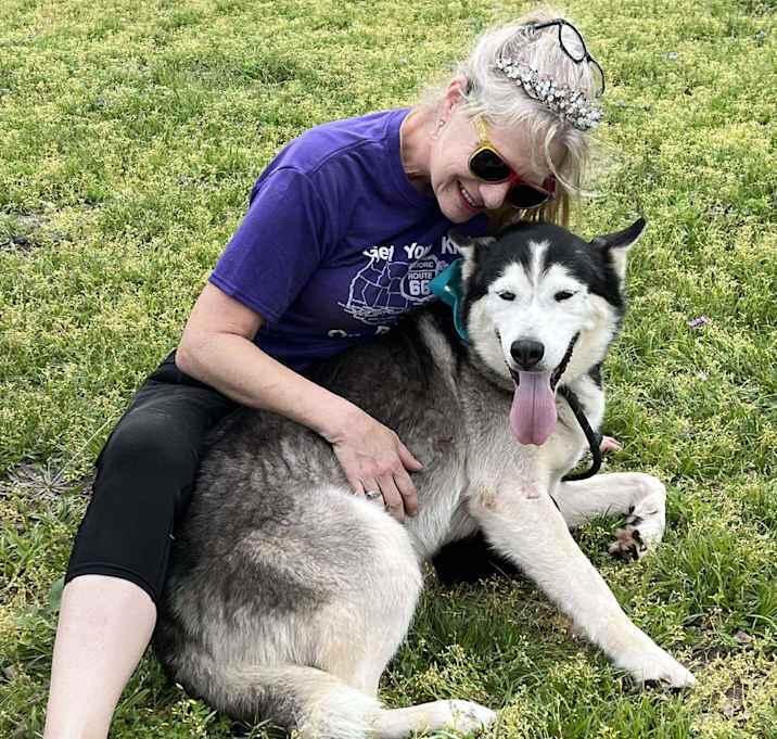 "Huskers" Nanook, Adoptable, Adult Male Husky & Husky.