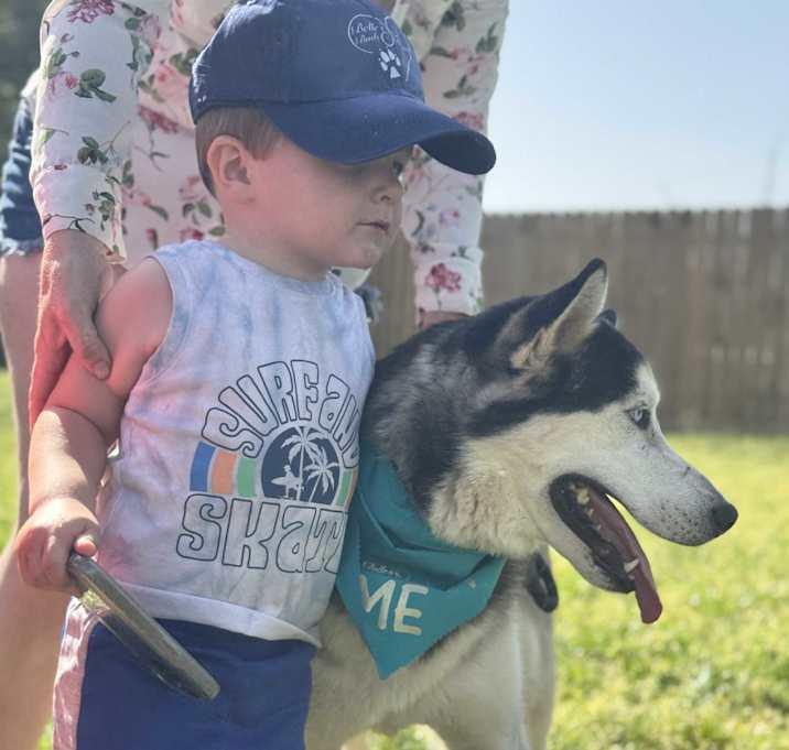 Enlarge "Huskers" Nanook, a Adoptable mixed breed in Brookshire, TX image 3/5