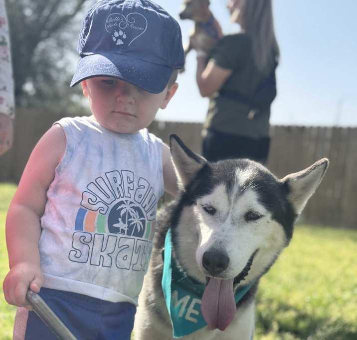 Enlarge "Huskers" Nanook, a Adoptable mixed breed in Brookshire, TX image 4/5