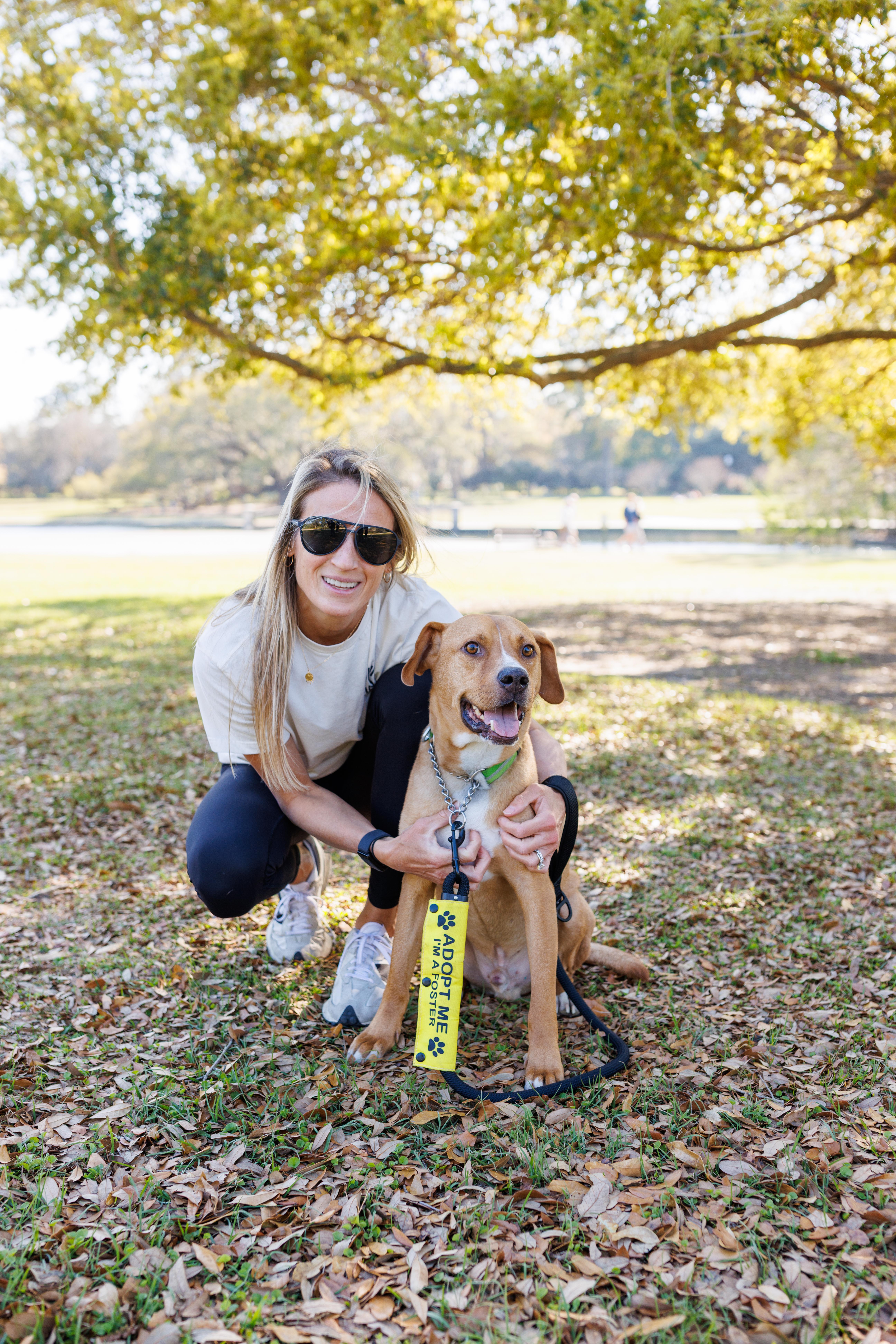 Enlarge Maxwell, a ADOPTABLE mixed breed in charleston, SC image 2/2
