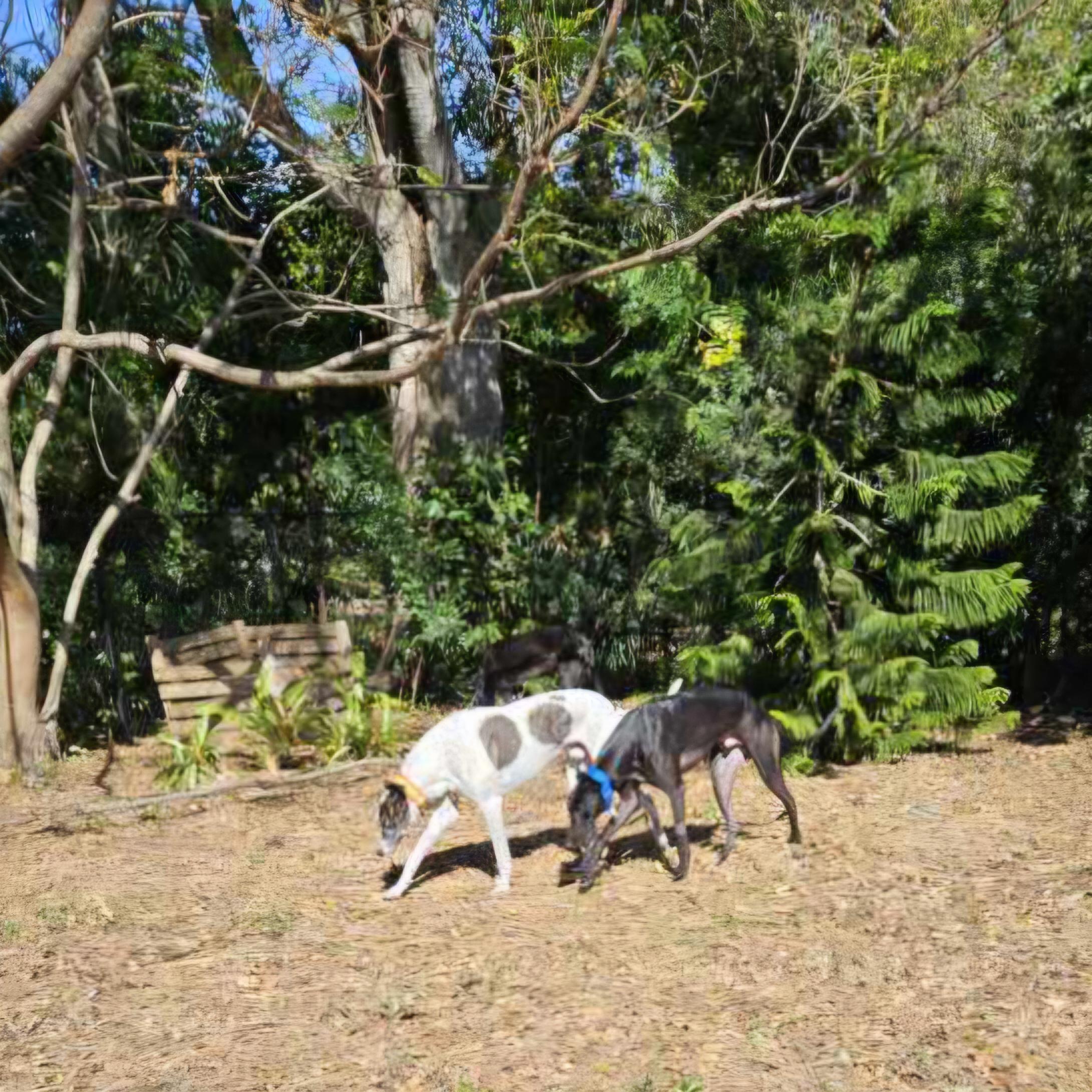 Follow Me thumbnail 2