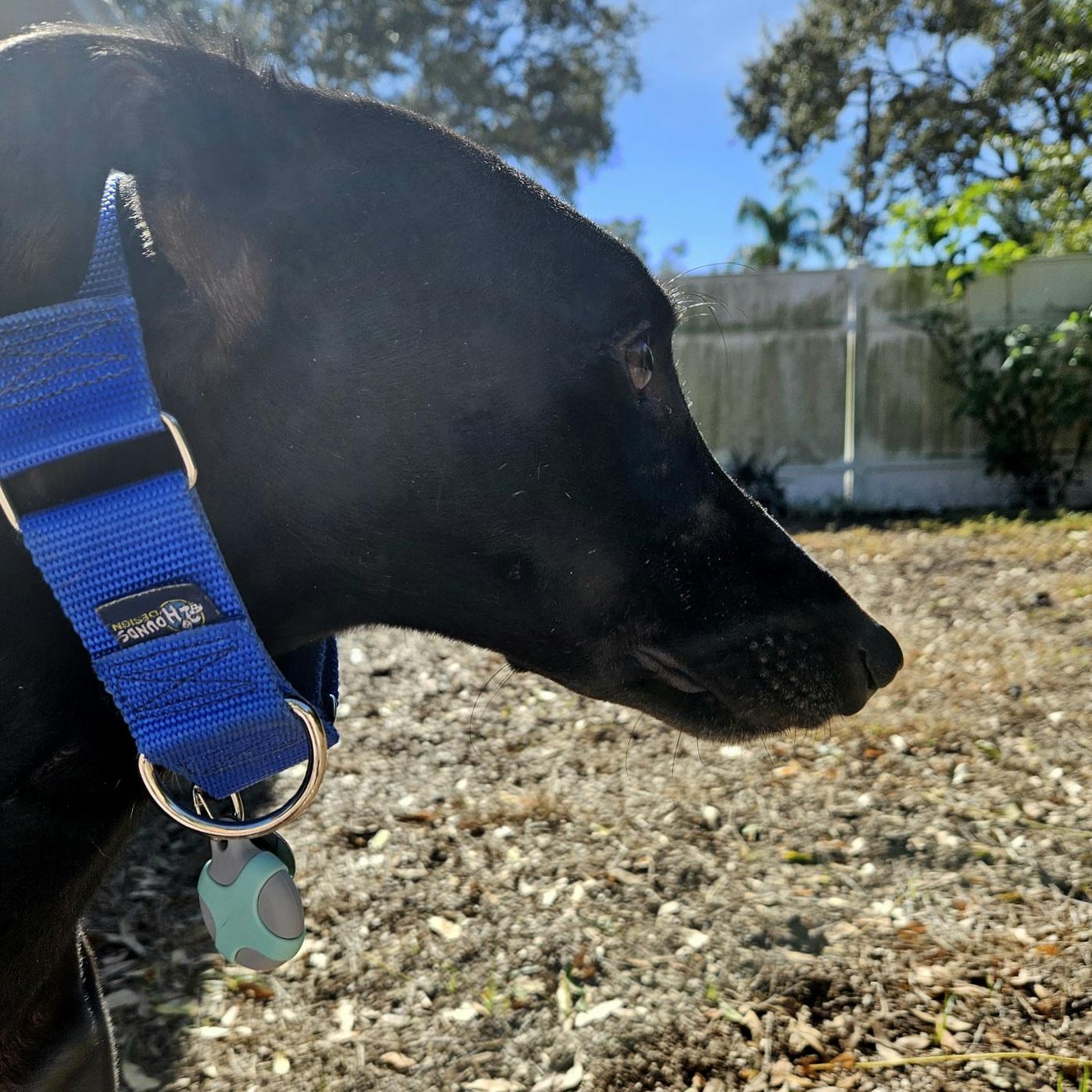 Follow Me thumbnail 4