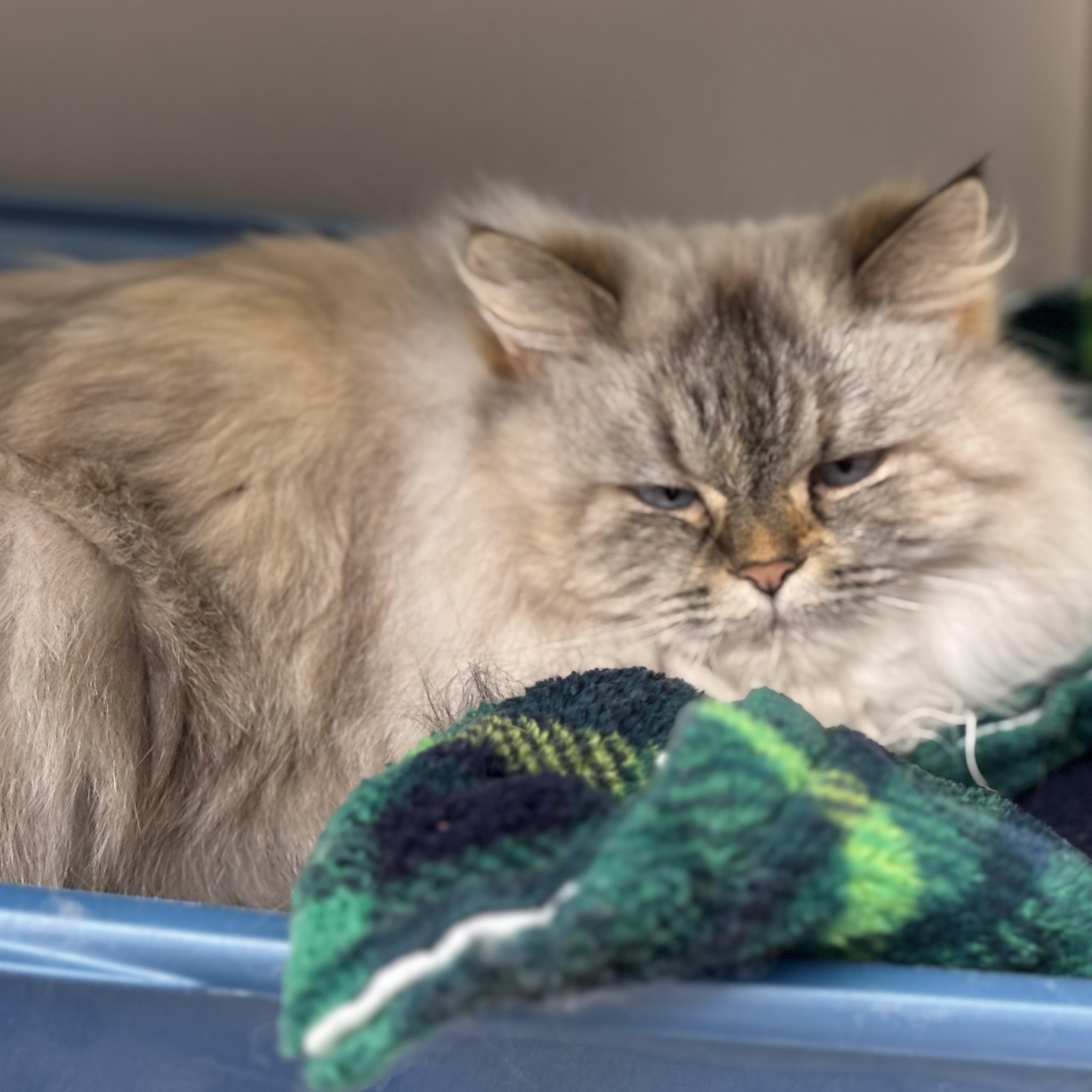 Princess And Kiki thumbnail 2