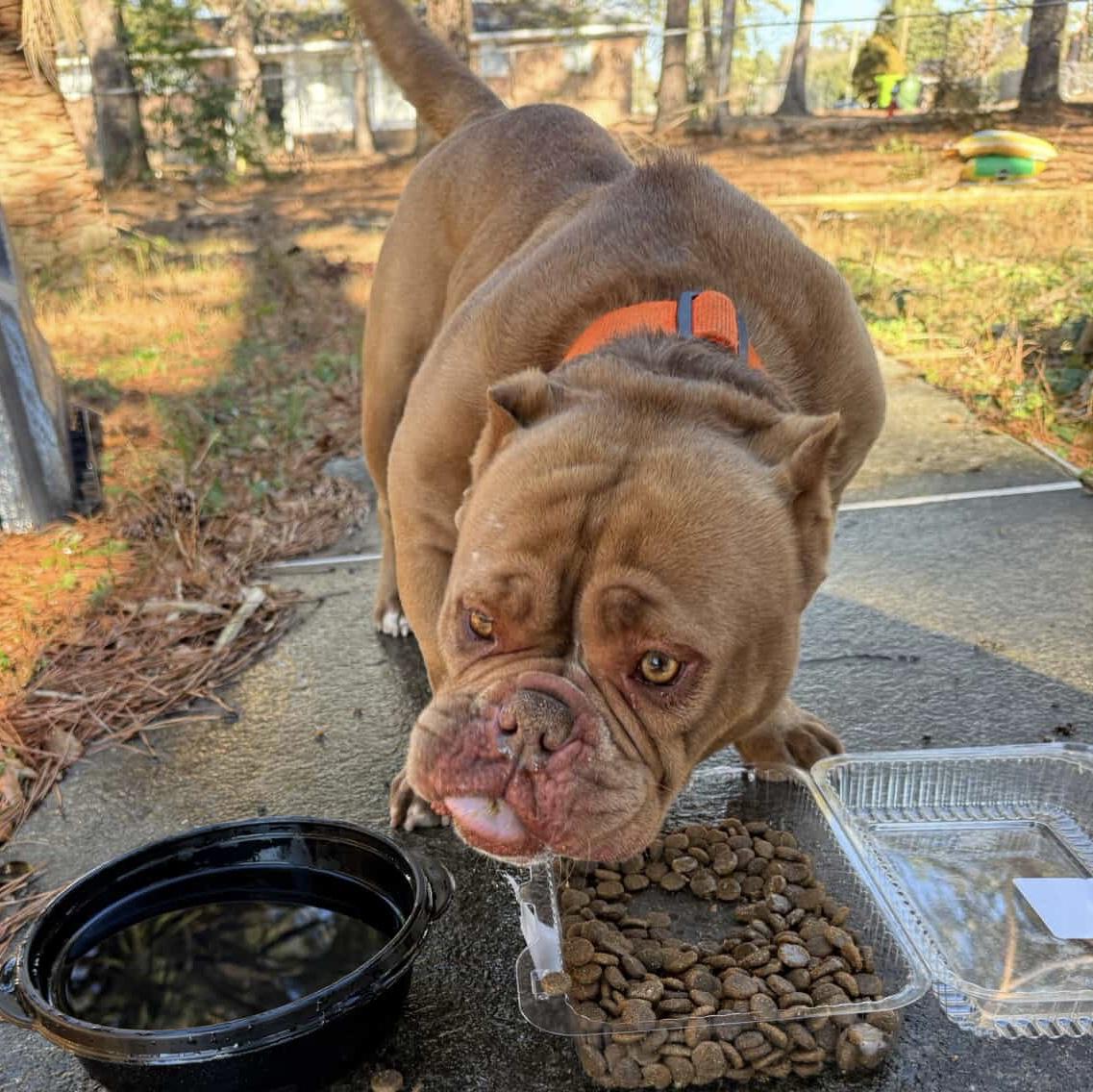 Babas — thumbnail 2